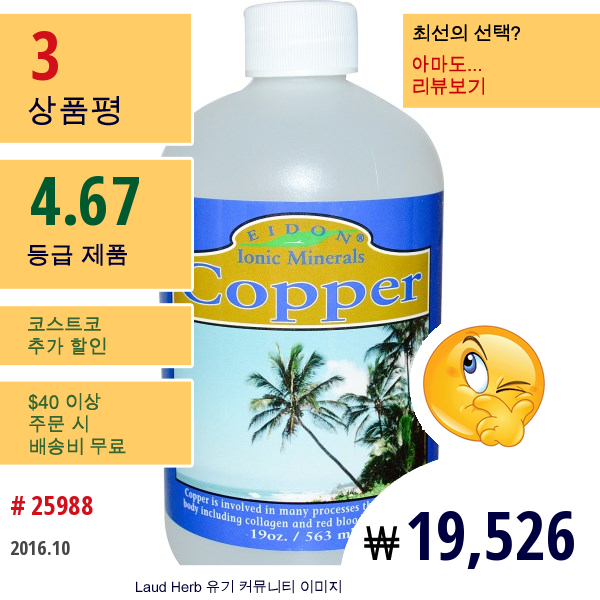 Eidon Mineral Supplements, 이오닉 미네랄즈, 코퍼, 19 온스 (563 밀리리터)