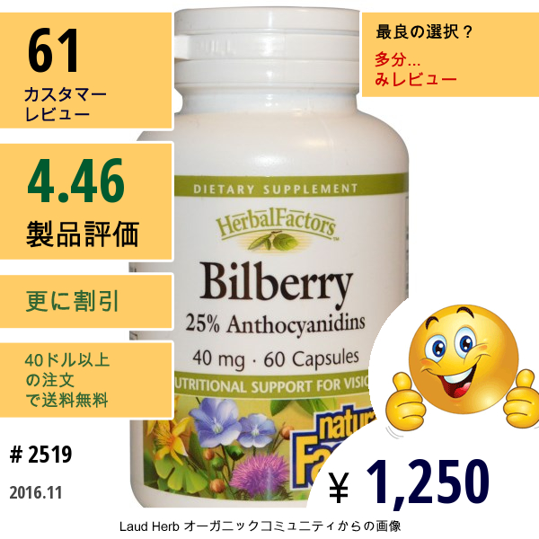 Natural Factors, ビルベリー, 40 Mg, カプセル60粒