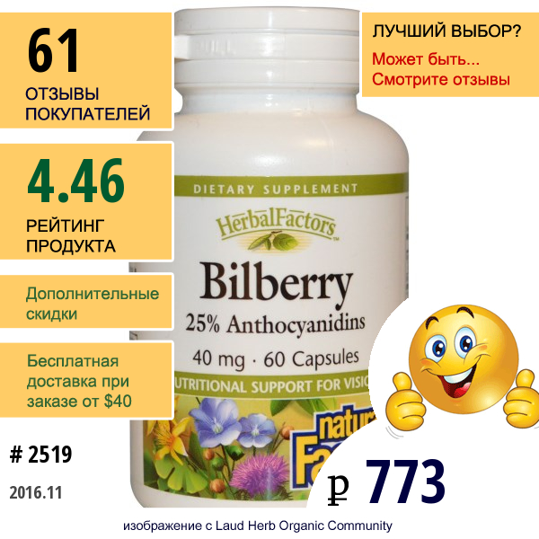 Natural Factors, Черника, 40 Мг, 60 Капсул