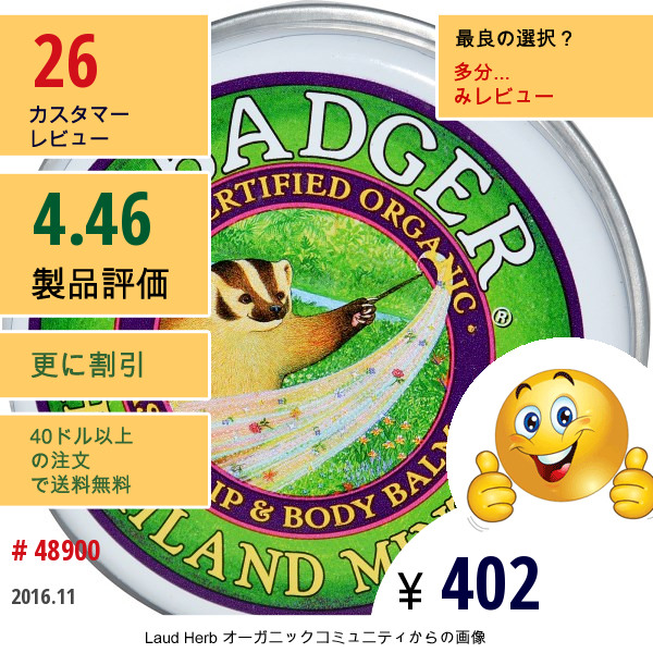 Badger Company, クラシック・リップ & ボディバーム, ハイランドミント, .75 オンス (21 G)  