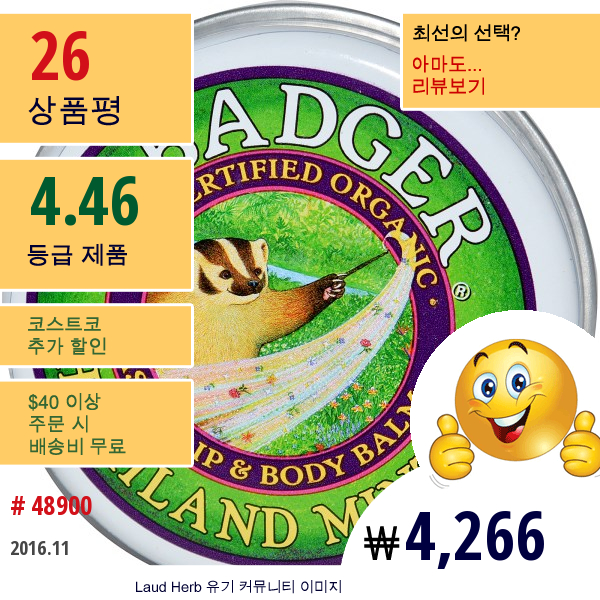 Badger Company, 클래식 립 그리고 바디 밤, 하이랜드 민트, .75 온스 (21 G)  