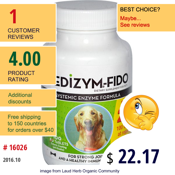 Naturally Vitamins, Medizym-Fido, Systemic Enzyme Formula, 100 Tablets  