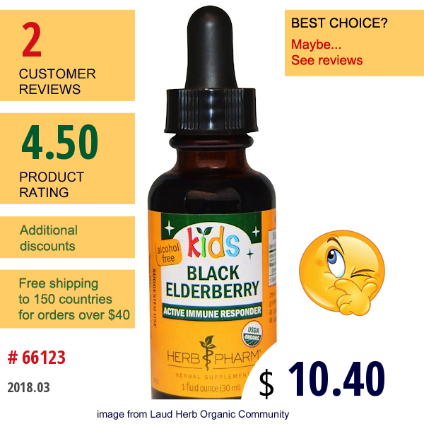 Herb Pharm, Kids, Black Elderberry, Alcohol Free, 1 Fl Oz (30 Ml)