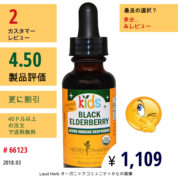 Herb Pharm, キッズ、 ブラックエルダーベリー、 アルコール不使用、 1 Fl Oz (30 Ml)