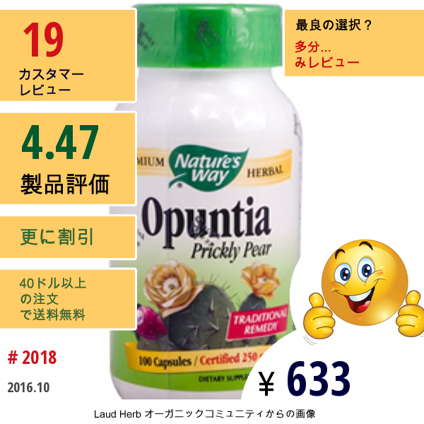 Natures Way, ウチワサボテン、250Mg、100カプセル  