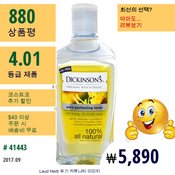 Dickinson Brands, 오리지널 위치하젤, 포어 퍼펙팅 토너, 16 Fl Oz (473 Ml)