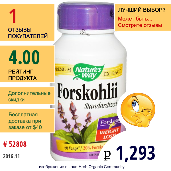 Natures Way, Forslean - Стандартизованный Экстракт Форсколина, 60 Капсул 