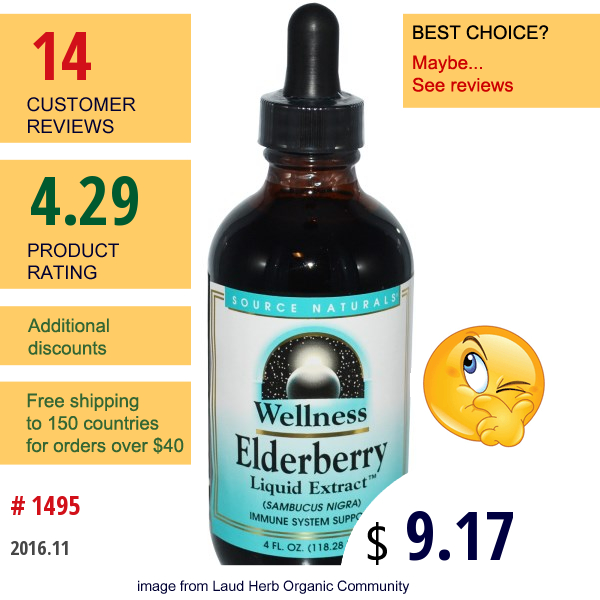 Source Naturals, Wellness, Elderberry Liquid Extract, 4 Fl Oz (118.28 Ml)