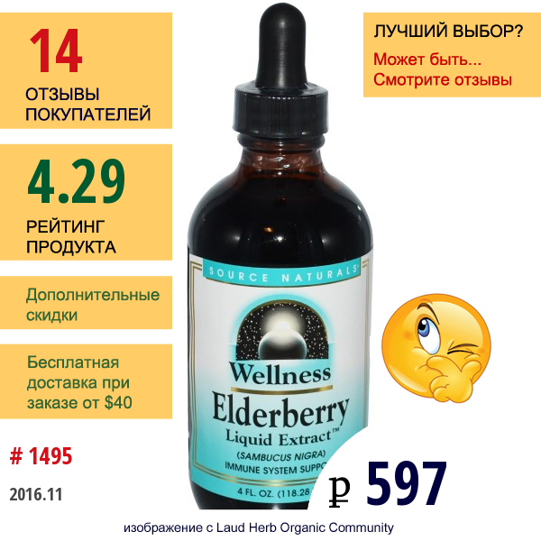 Source Naturals, Wellness, Жидкий Экстракт Бузины 4 Жидких Унции (118.28 Мл)