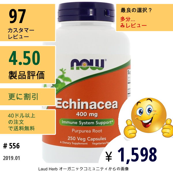 Now Foods, エキナセア、400 Mg、ベジタリアンカプセル250錠