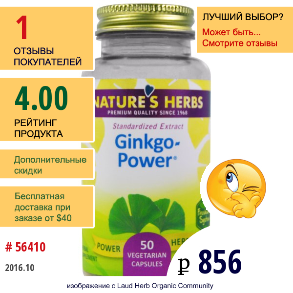 Natures Herbs, Gingko-Power (Сила Гинкго), 50 Вегетарианских Капсул