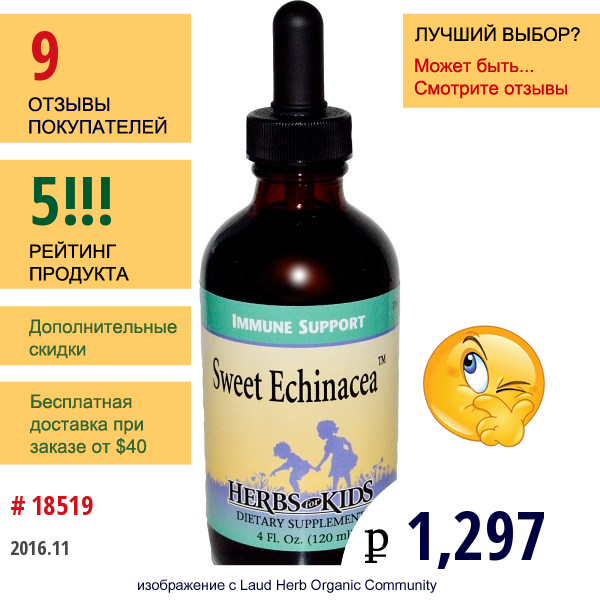Herbs For Kids, Sweet Echinacea, 4 Жидких Унции (120 Мл)