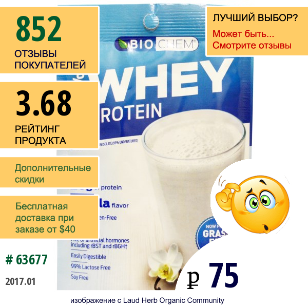 Country Life, Biochem, 100%-Ный Сывороточный Белок, Ванильный Аромат, 1,08 Унции (30,6 Г)