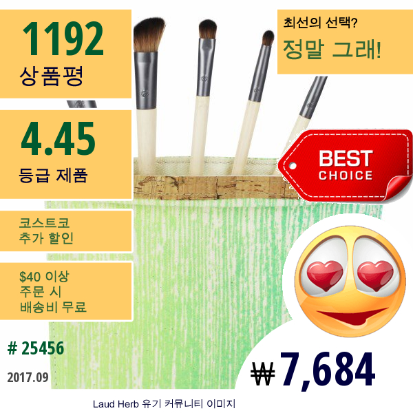 Ecotools, 6피스 필수 아이 세트, 브러시 5개 , 여행용 백 1개