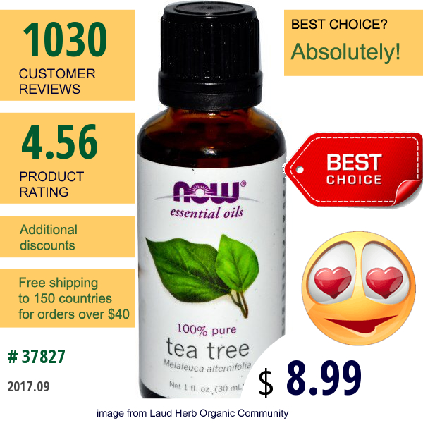 Now Foods, Essential Oils, Tea Tree, 1 Fl Oz (30 Ml)