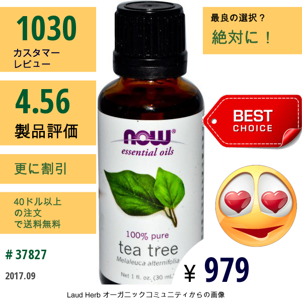 Now Foods, エッセンシャルオイル、ティーツリーオイル、 1 Fl Oz (30 Ml)