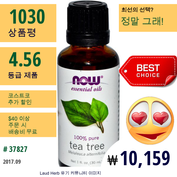 Now Foods, Essential Oils,티 트리 오일, 1 Fl Oz (30 Ml)