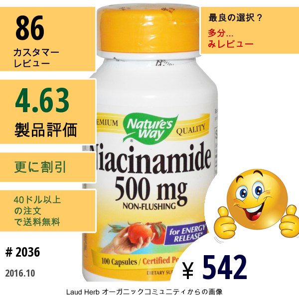 Natures Way, ナイアシナミド, 500 Mg, 100 カプセル