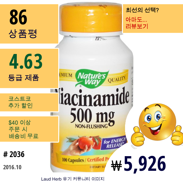 Natures Way, 나이아신아미드, 500 Mg, 100 캡슐