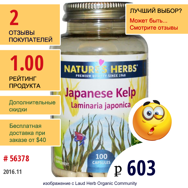 Natures Herbs, Японская Ламинария, Laminaria Japonica, 100 Капсул  