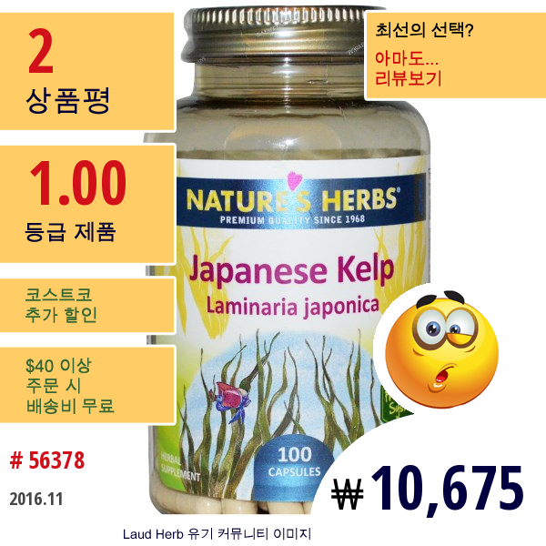 Natures Herbs, 일본산 켈프, 다시마, 100 캡슐  