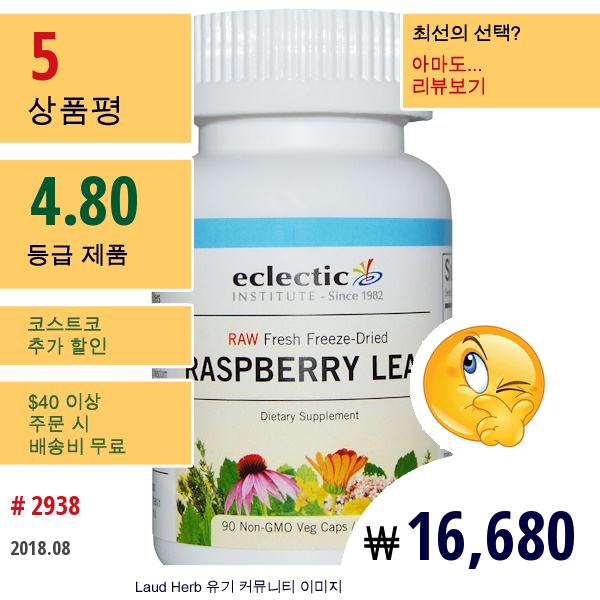 Eclectic Institute, 라즈베리 잎, 300 Mg, 90 비유전자조작 베지 캡슐  