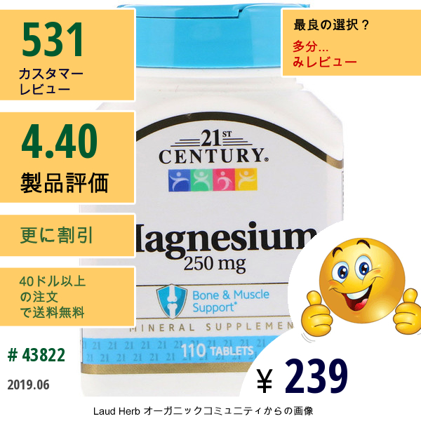 21St Century, マグネシウム, 250 Mg, 110錠