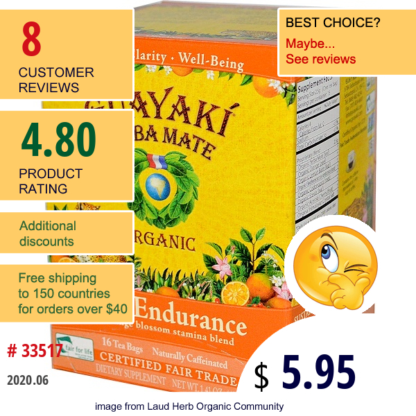 Guayaki, Yerba Mate, Organic Pure Endurance, 16 Tea Bags, 1.41 Oz (40 G)  