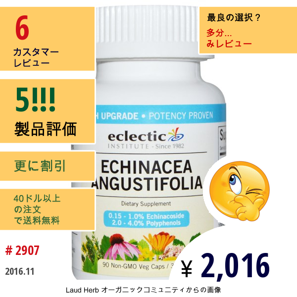 Eclectic Institute, エキナセア 、325 Mg、ベジキャップ90 キャップ錠