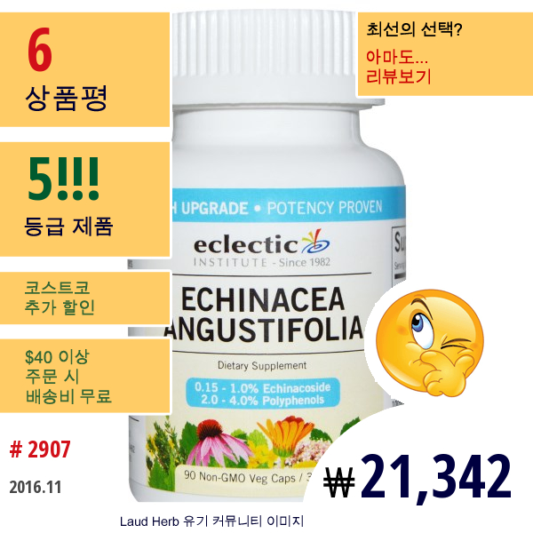 Eclectic Institute, Echinacea Angustifolia, 325 Mg, 90 베지캡