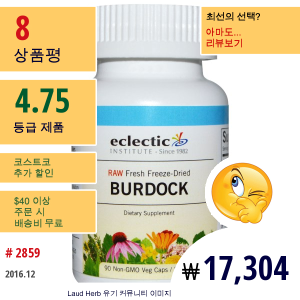 Eclectic Institute, 우엉, 로우, 500 Mg, 비Gmo 식물성 캡슐 90정