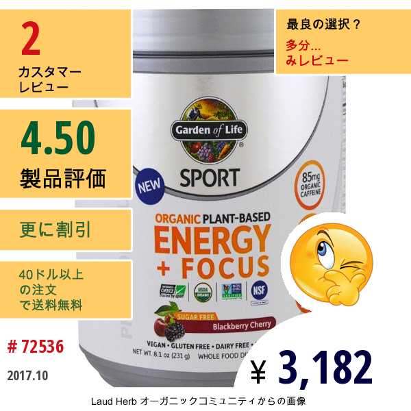 Garden Of Life, オーガニック植物性運動前サプリ、エネルギー補給&集中力Up、ブラックベリー・チェリー、231G