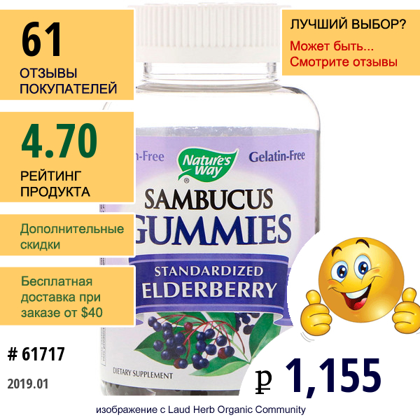 Natures Way, Sambucus, Standardized Elderberry, 60 Gummies