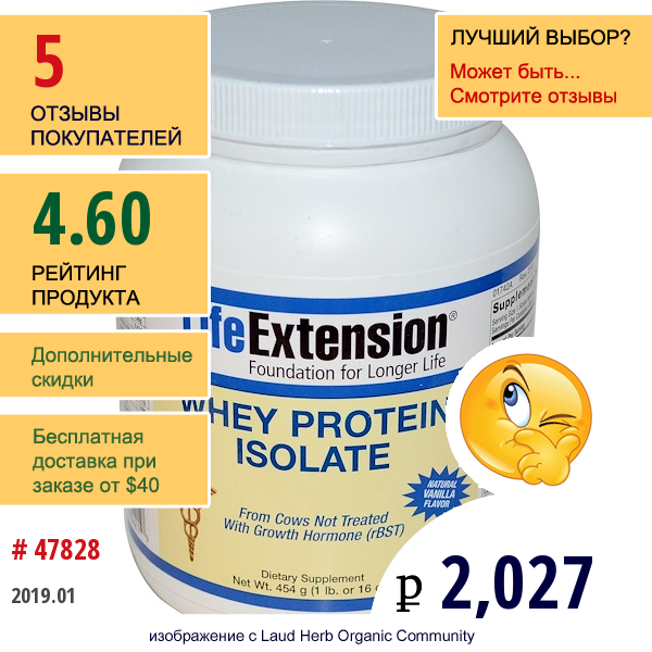 Life Extension, Изолят Сывороточного Протеина, С Натуральным Вкусом Ванили, 16 Унций (454 Г)  