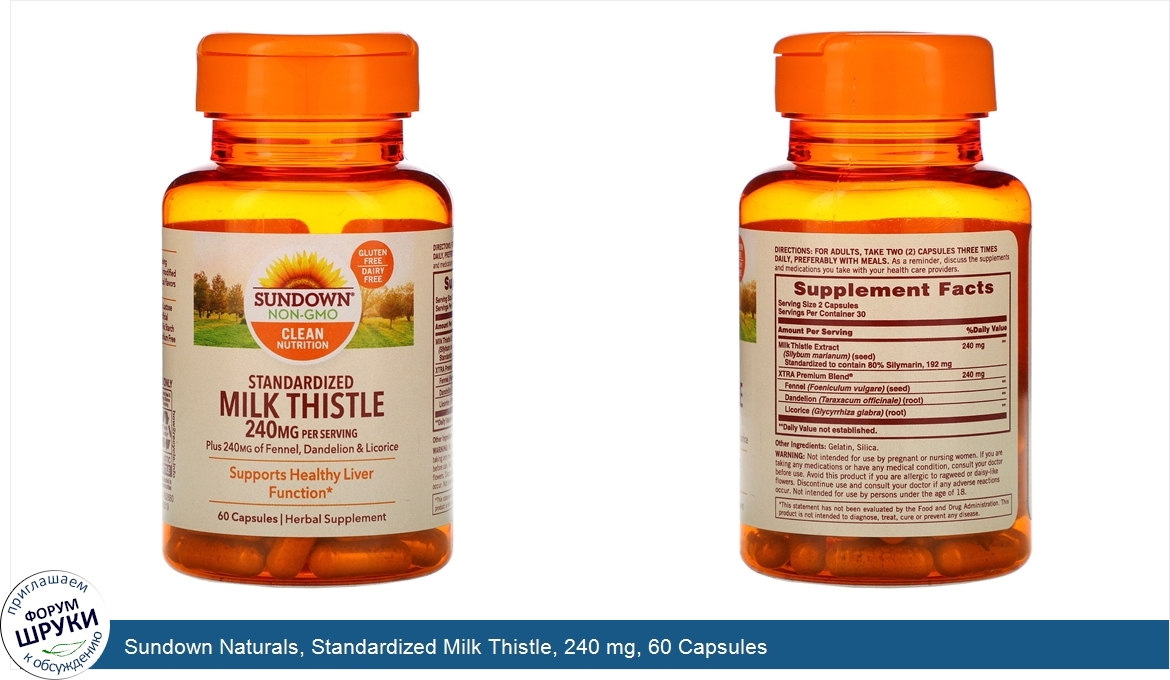 Sundown_Naturals__Standardized_Milk_Thistle__240_mg__60_Capsules.jpg