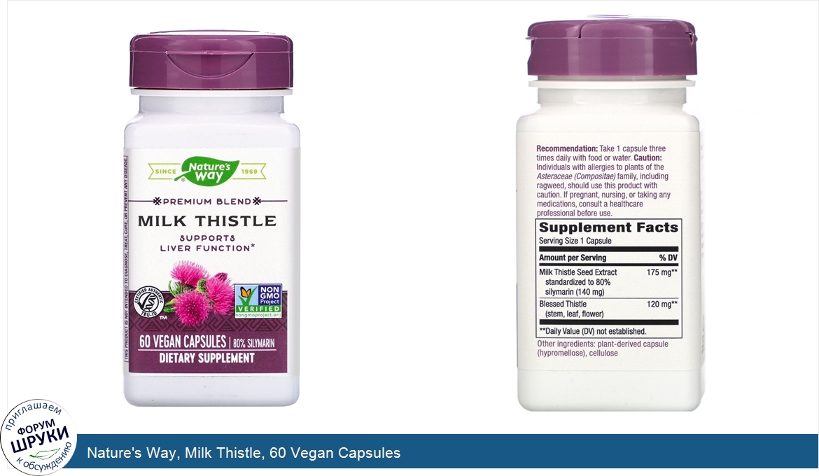 Nature s way go. Milk Thistle Silymarin. Mason natural, standardized extract Milk Thistle Silymarin 60 Capsules. Силимарин Милк тхистиле. Силимарин немецкий МД