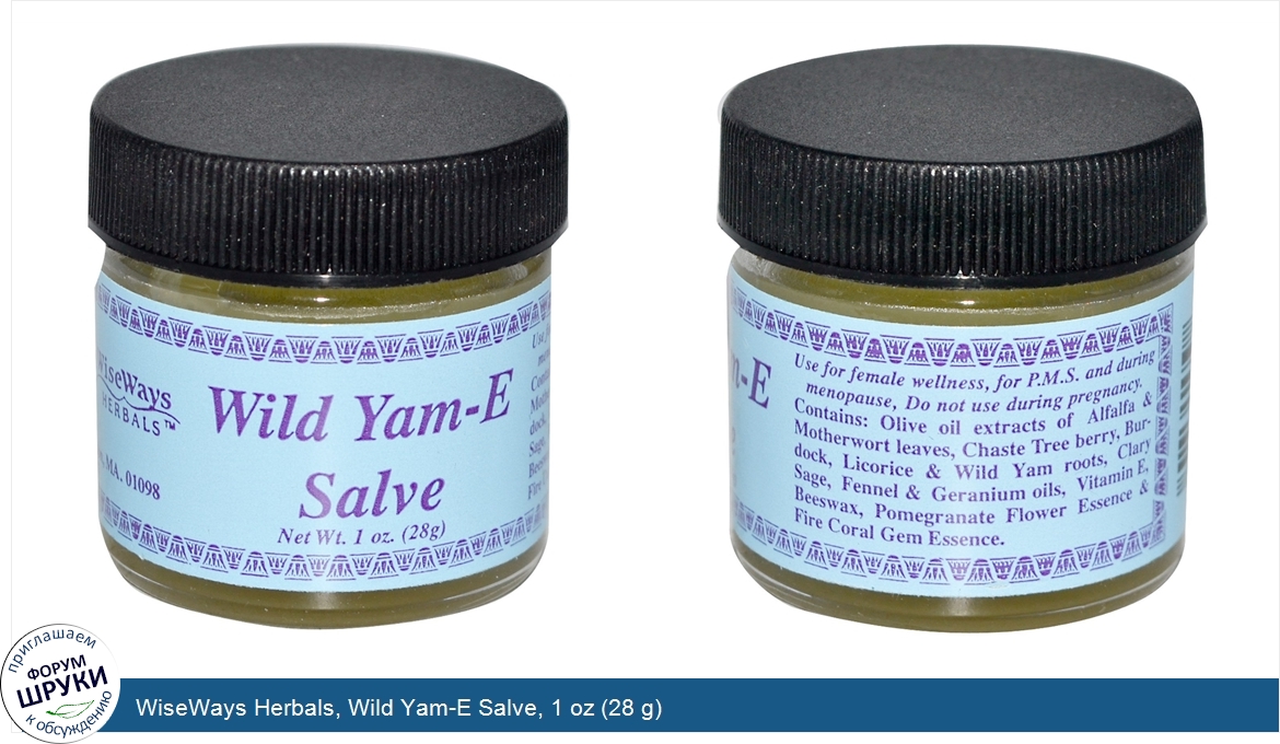 WiseWays_Herbals__Wild_Yam_E_Salve__1_oz__28_g_.jpg