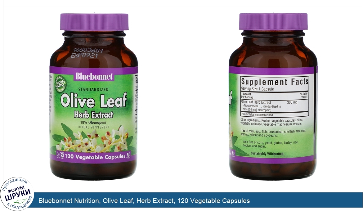 Bluebonnet_Nutrition__Olive_Leaf__Herb_Extract__120_Vegetable_Capsules.jpg