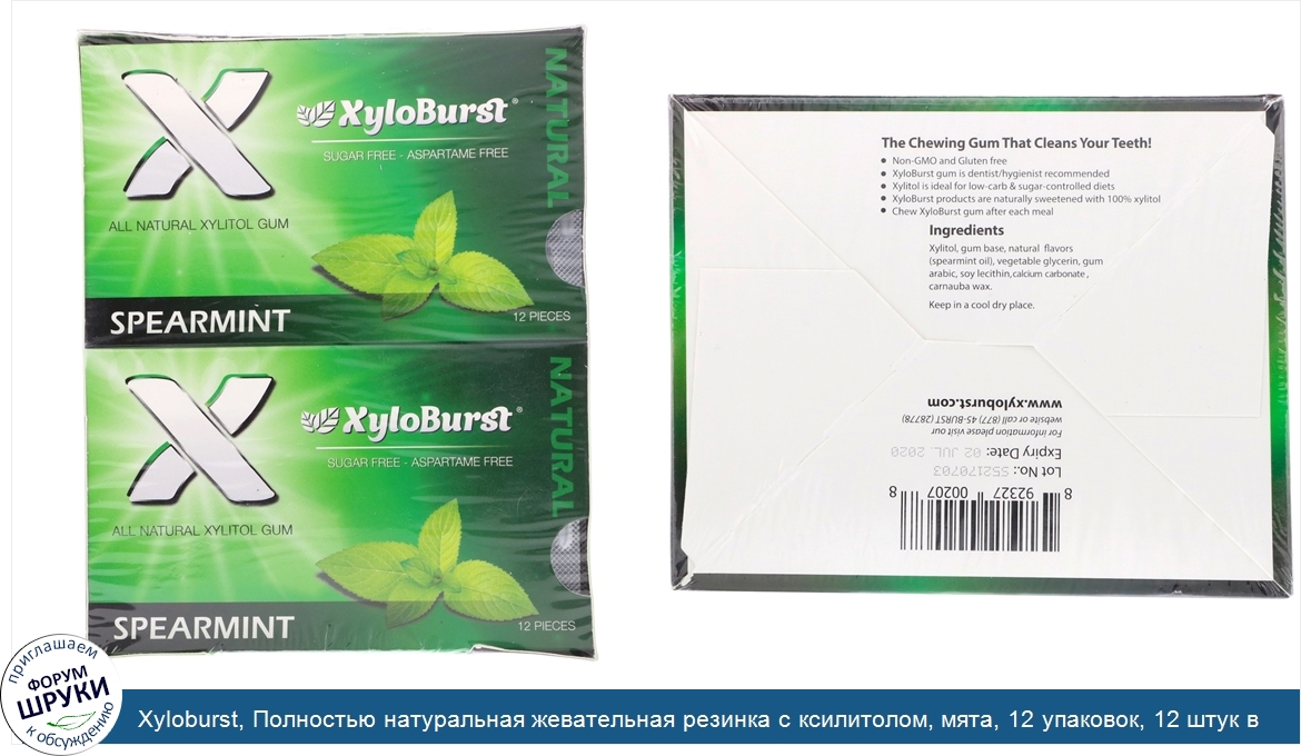 Xyloburst__Полностью_натуральная_жевательная_резинка_с_ксилитолом__мята__12_упаковок__12_штук_...jpg