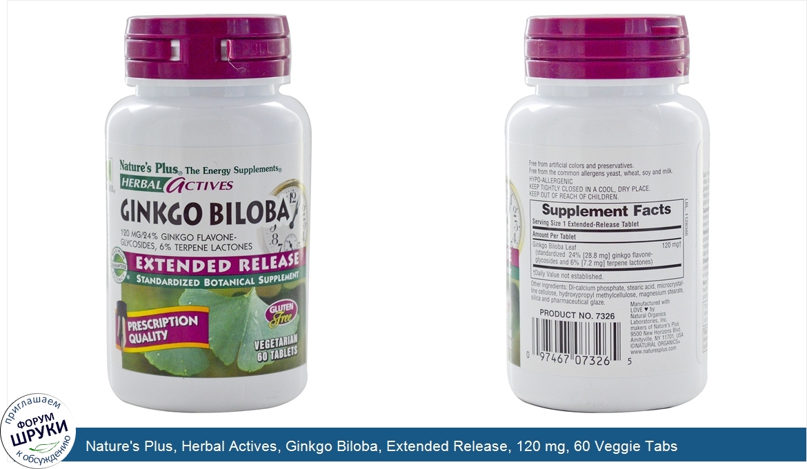 Nature_s_Plus__Herbal_Actives__Ginkgo_Biloba__Extended_Release__120_mg__60_Veggie_Tabs.jpg