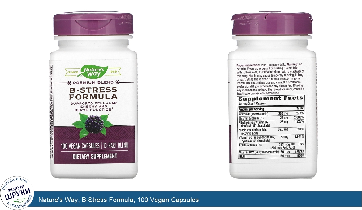 Nature_s_Way__B_Stress_Formula__100_Vegan_Capsules.jpg