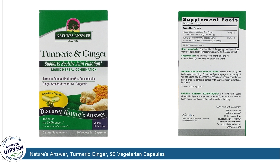 Nature_s_Answer__Turmeric_Ginger__90_Vegetarian_Capsules.jpg