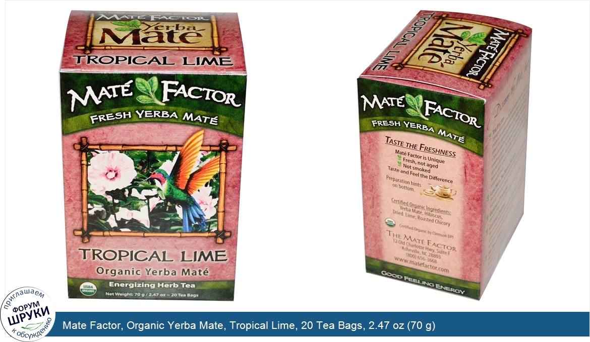 Mate_Factor__Organic_Yerba_Mate__Tropical_Lime__20_Tea_Bags__2.47_oz__70_g_.jpg