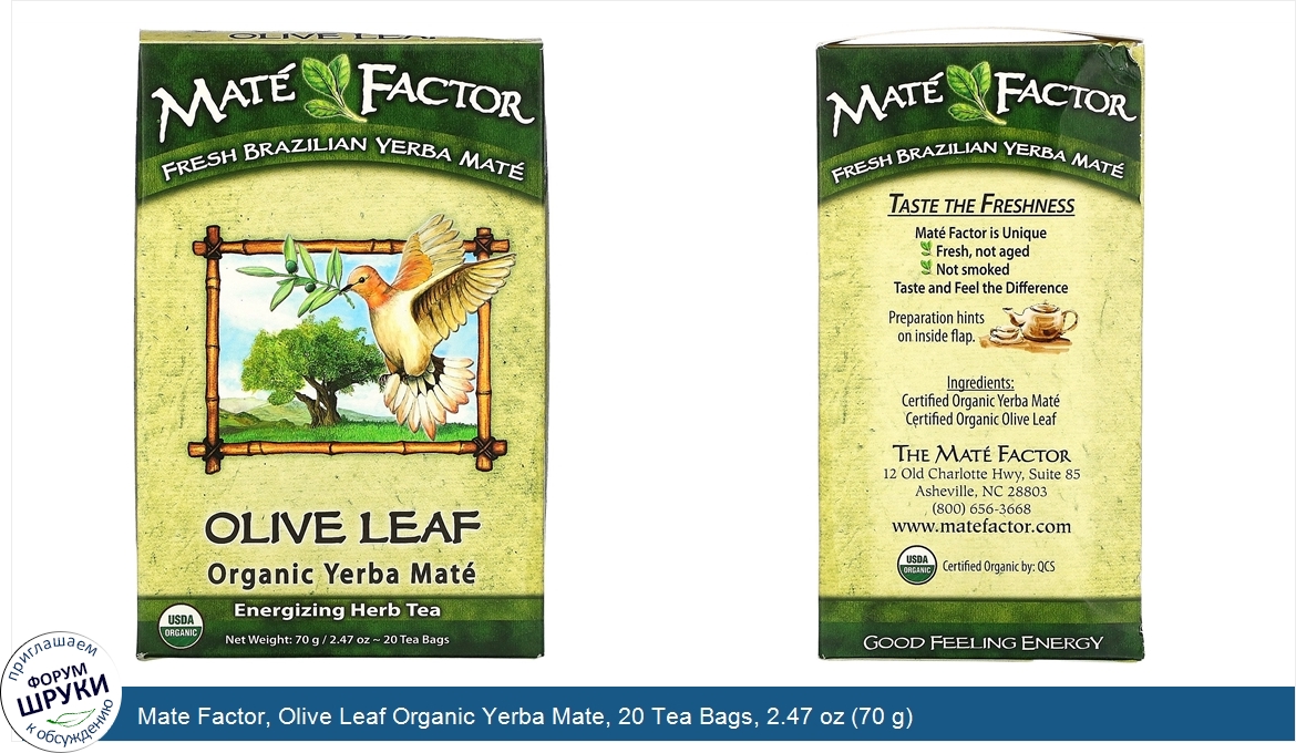 Mate_Factor__Olive_Leaf_Organic_Yerba_Mate__20_Tea_Bags__2.47_oz__70_g_.jpg