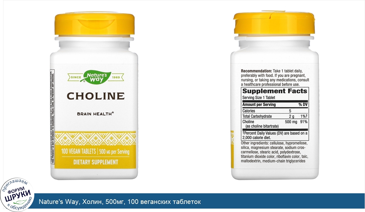 Nature_s_Way__Холин__500мг__100_веганских_таблеток.jpg