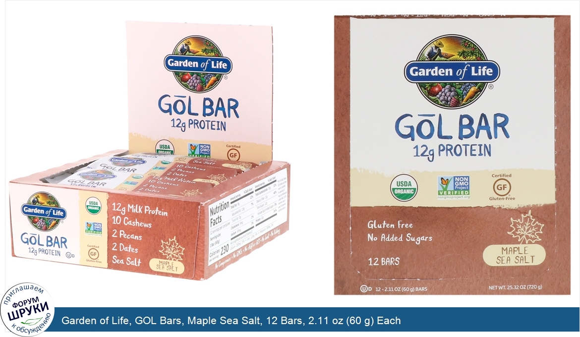 Garden_of_Life__GOL_Bars__Maple_Sea_Salt__12_Bars__2.11_oz__60_g__Each.jpg