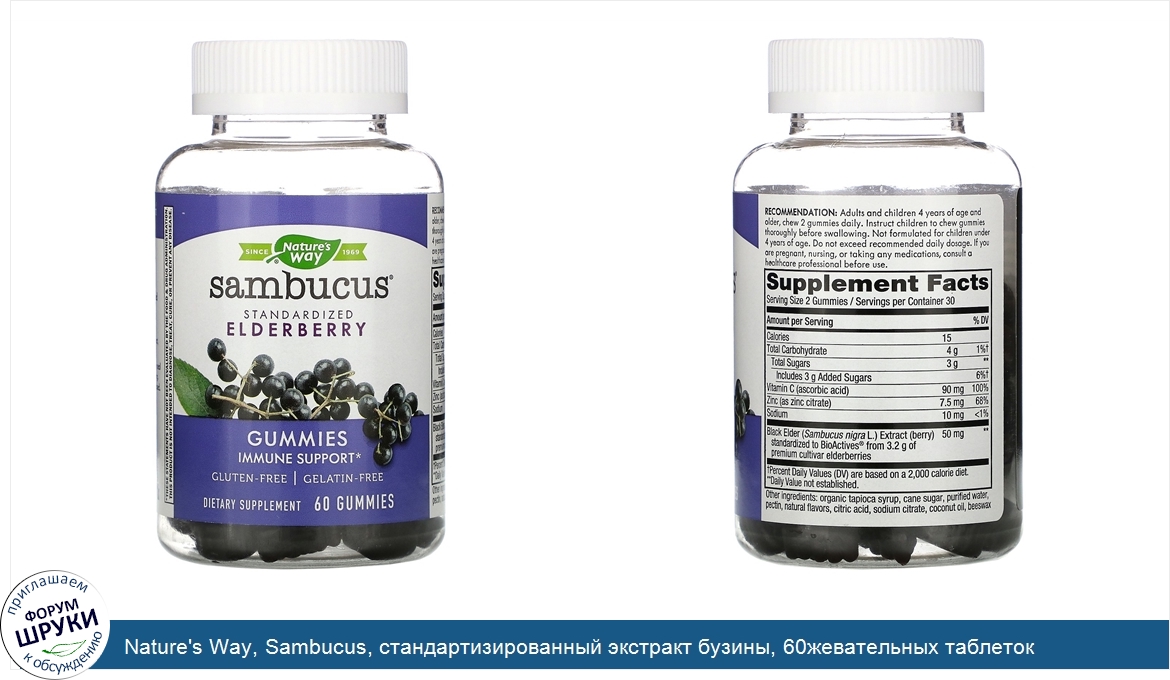 Nature_s_Way__Sambucus__стандартизированный_экстракт_бузины__60жевательных_таблеток.jpg