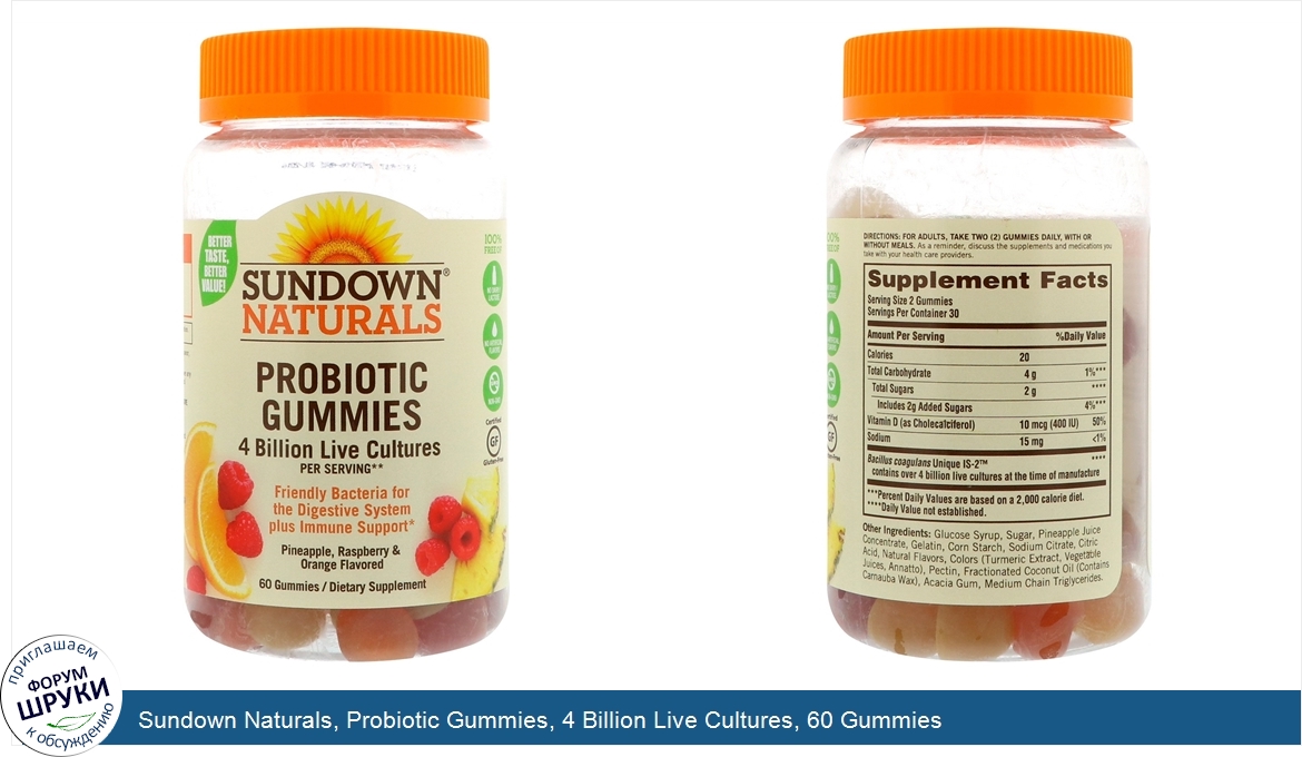 Sundown_Naturals__Probiotic_Gummies__4_Billion_Live_Cultures__60_Gummies.jpg