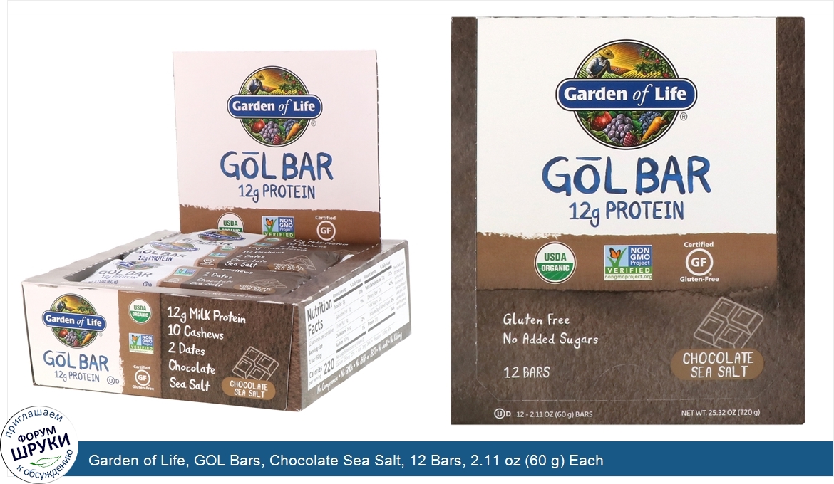 Garden_of_Life__GOL_Bars__Chocolate_Sea_Salt__12_Bars__2.11_oz__60_g__Each.jpg