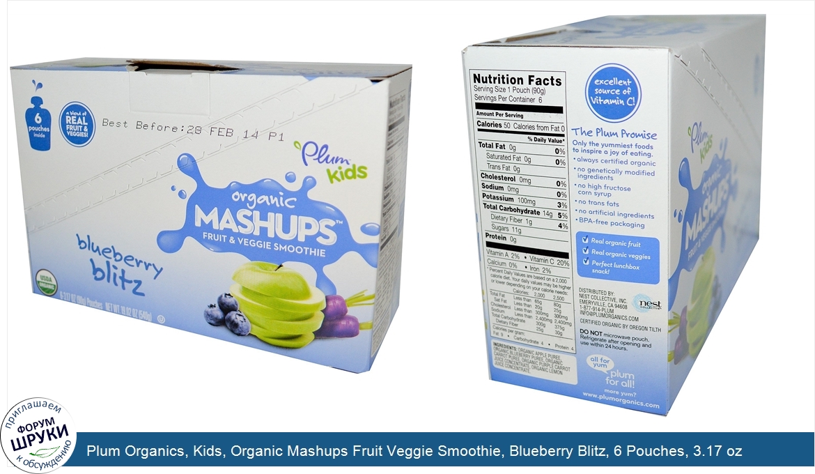 Plum_Organics__Kids__Organic_Mashups_Fruit_Veggie_Smoothie__Blueberry_Blitz__6_Pouches__3.17_o...jpg
